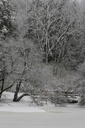 Frozen Lake