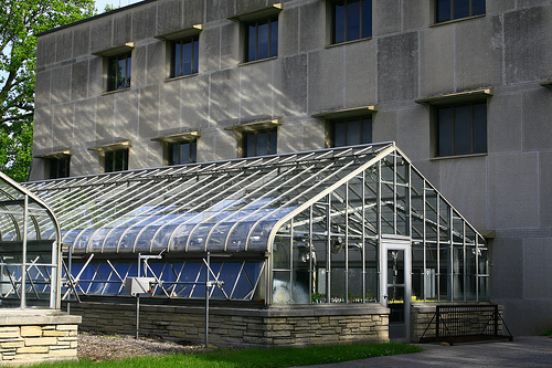 Greenhouse