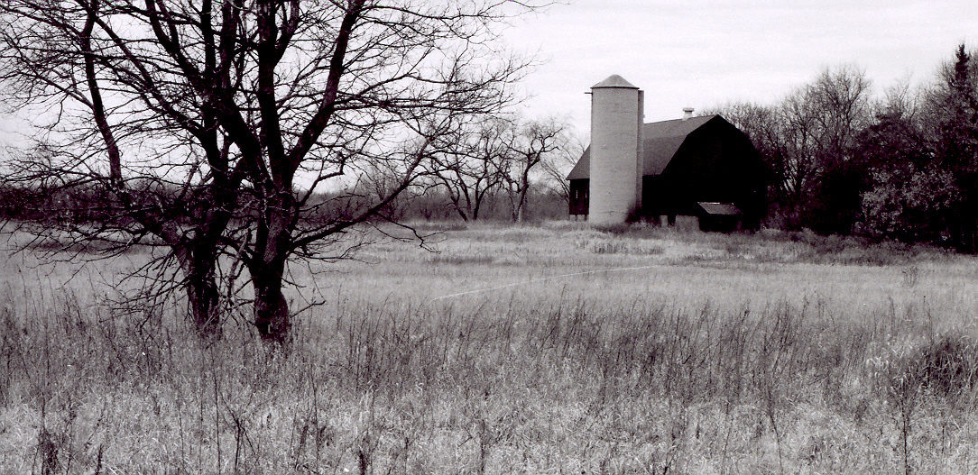 Barn in Field