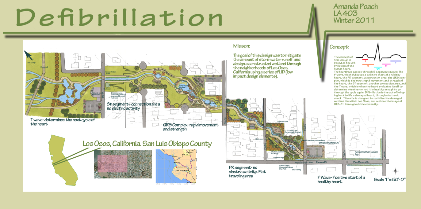 Wetland Restoration Master Plan - Los Osos