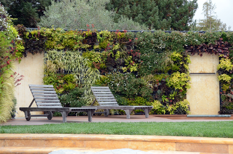RESIDENTIAL LIVING WALL