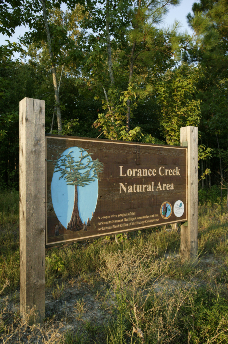Lorance Creek 03